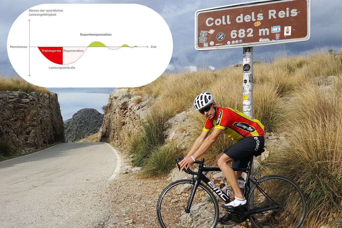 Tri-Wissen: die Superkompensation