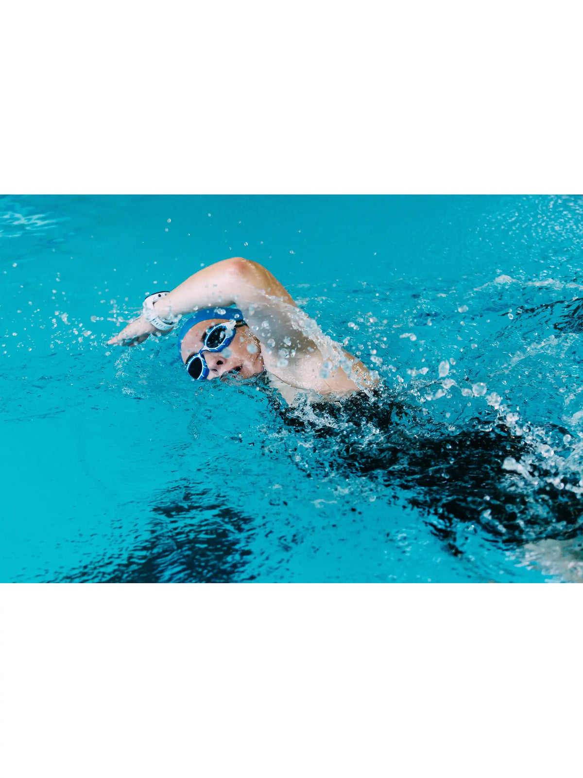 Zoggs Predator, Schwimmbrille, Blue/White/Tint Smoke
